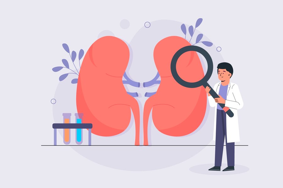 Does Alcohol Affect Kidneys?